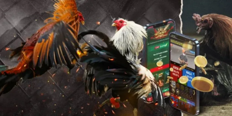 Hướng Dẫn Cách Chơi Đá Gà GA28 Tại 365Bet Cho Người Mới