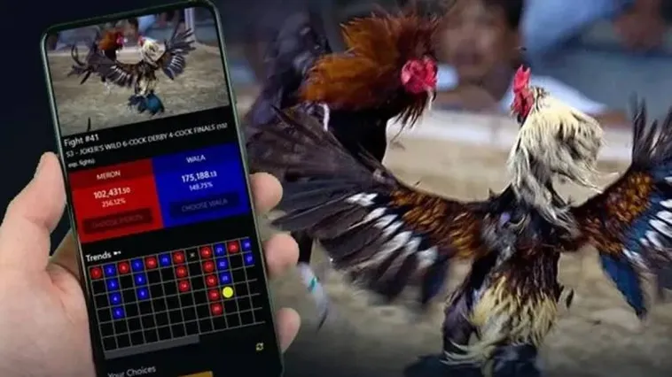 Đá Gà 365Bet Nền Tảng Trực Tuyến Hàng Đầu Cho Người Đam Mê