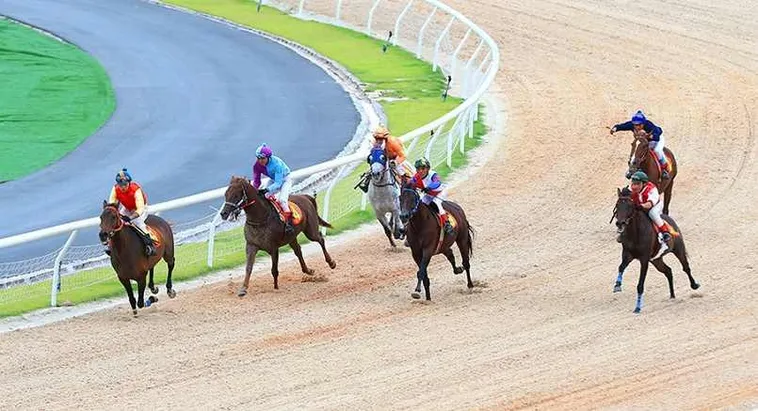 Khám Phá Toàn Cảnh Cá Cược Đua Ngựa 365Bet Chuyên Nghiệp