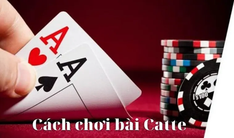 Hướng Dẫn Cách Chơi Sắc Tê 365Bet Chi Tiết Dành Cho Người Mới